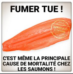 saumon fumé